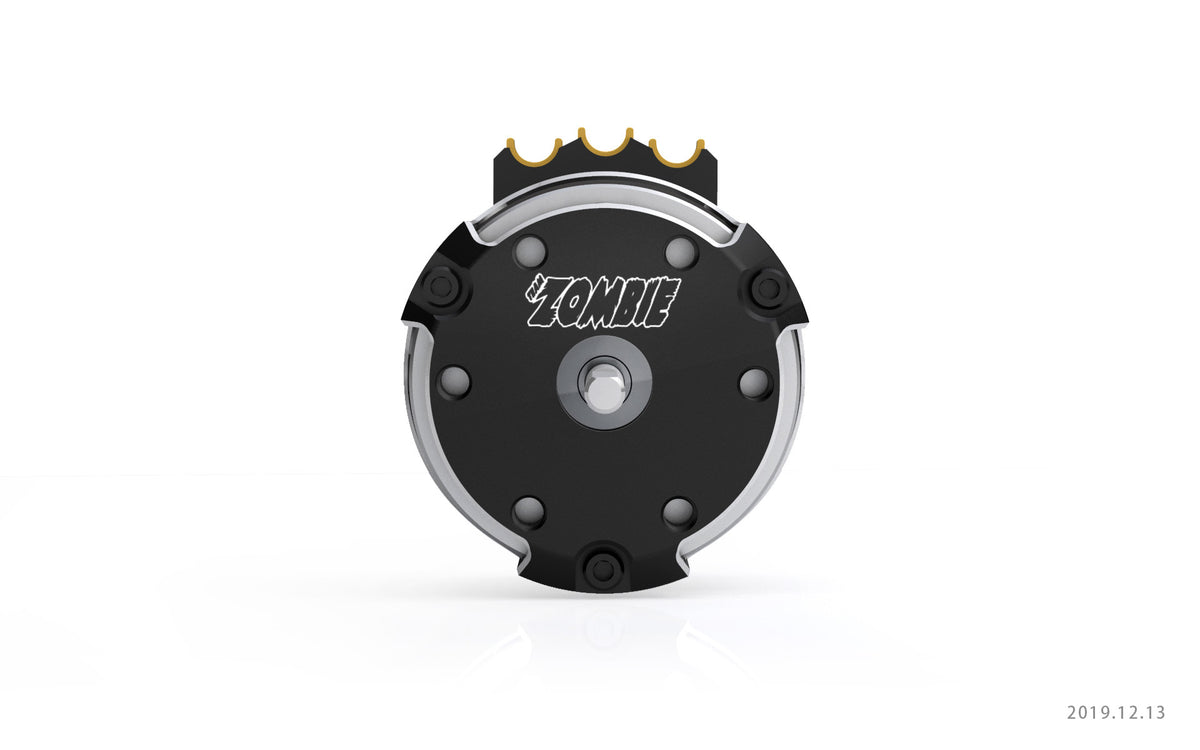 Team Zombie EVOLUTION PRO SPEC 17.5T EFRA BRCA ROAR approved